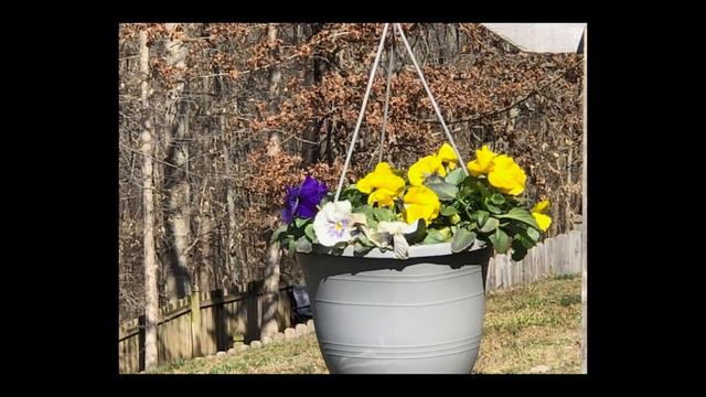 Great Garden Photos - Subscriber Sunday