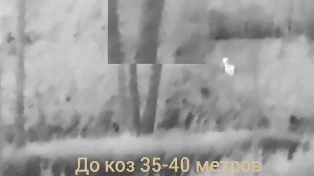 Самый бюджетный тепловизионный монокуляр Arkon Ovis 2 SM 10 смотреть онлайн