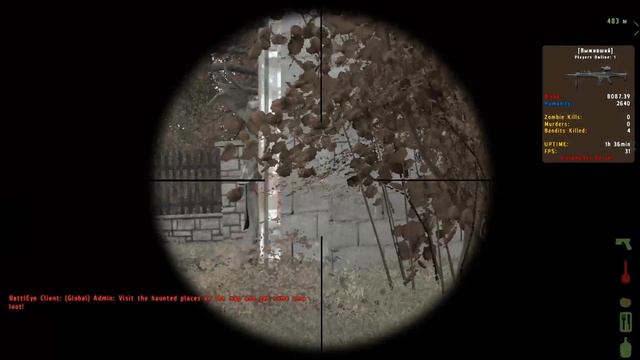 DayZ Случайный сервер #3 смотреть онлайн