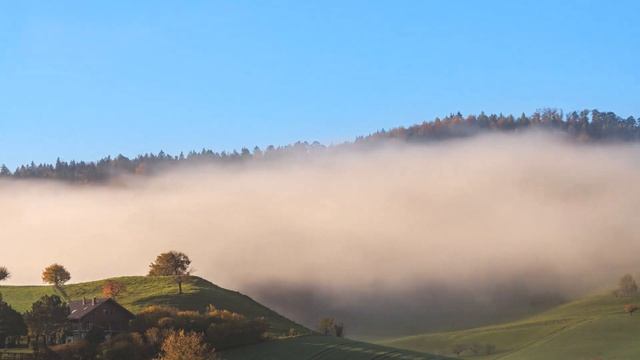 БОЖЬЯ ВЕРНОСТЬ. НИКОЛАЙ ПАСТУХОВ смотреть онлайн
