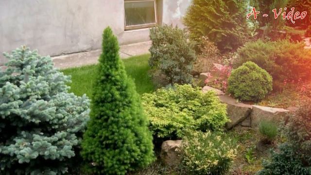 ?Примеры ландшафтного дизайна для сада и частного двора / Garden ideas смотреть онлайн