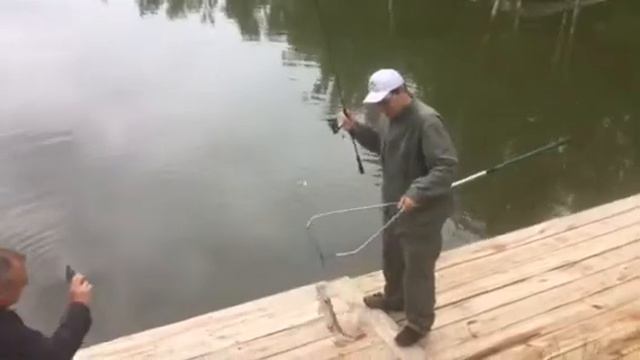 Дмитрий Салапин смотреть онлайн