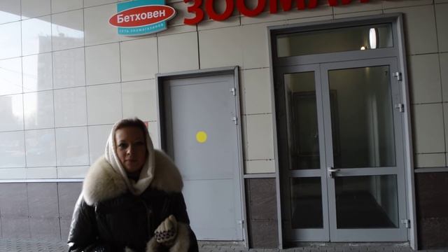 Бетховен зоомагазин: абсурдная жадность продавцов смотреть онлайн