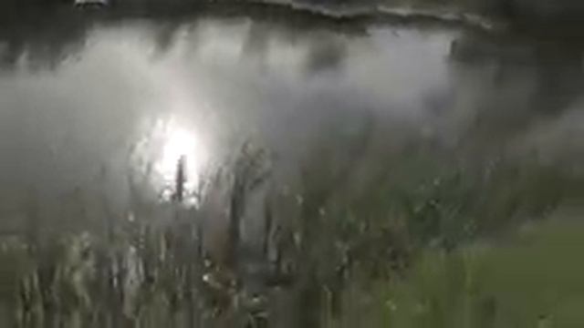 часть 3. В ролях Аквариумная щука, дорога и другие. смотреть онлайн