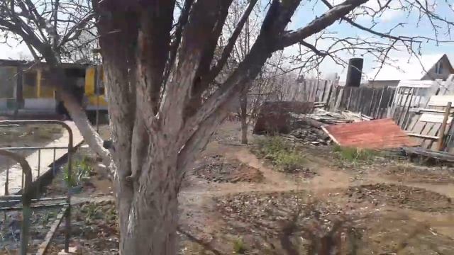 влог на даче побелила деревья смотреть онлайн