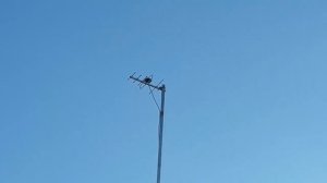 Цифровой ТВ сигнал зависает и каналы отваливаются