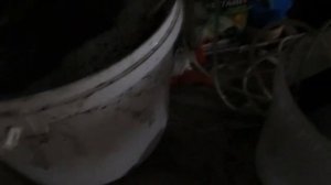 Гибнет дендробена (дождевой червь), один из способов лечения .