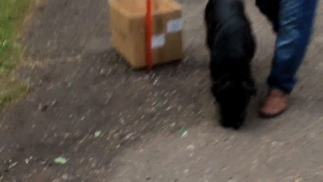 Выставка Петропавловск 11-12.06.2016 смотреть онлайн