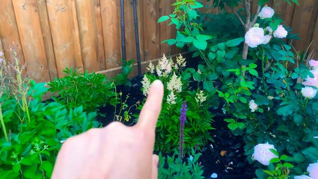 Garden with Black Cedar Mulch смотреть онлайн