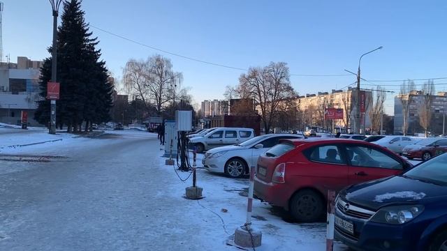 Готовимся к Новому году, сладости. Японский ЧЕСНОК в супермаркете Украины?! Люблю Селедку СС!