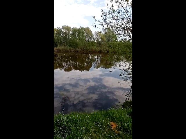 ИНИПИ-1,цвет Таити смотреть онлайн