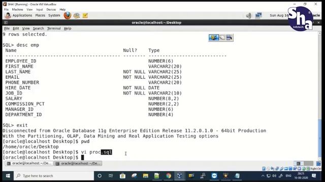 Performance Tuning on Oracle Database ! ! SHA Infotech ! смотреть онлайн