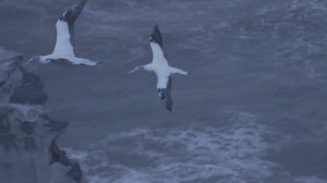 Axel Rudi Pell - Oceans of Time - Lyrics (HD)