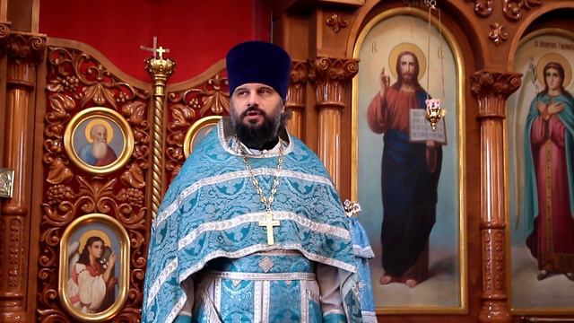 Проповедь иерея Максима Пчелы смотреть онлайн