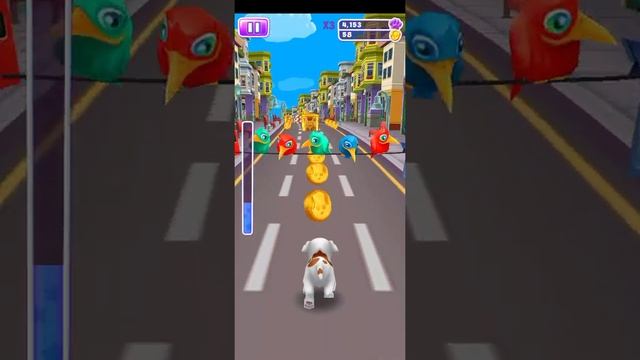 Dog racing gameplay смотреть онлайн