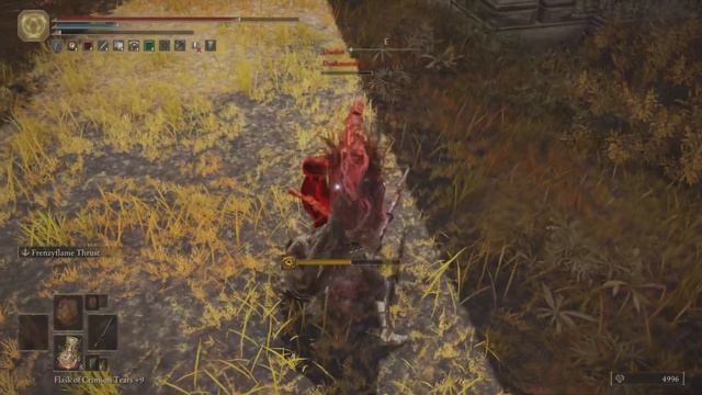 Elden Ring Duels with friend are so fun (Overpowered Bleed/Arcane Build) смотреть онлайн
