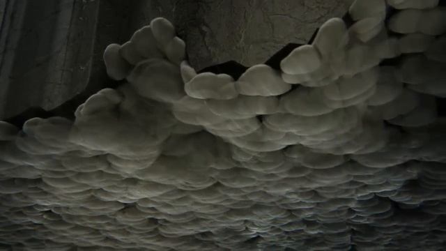 СУПРОТЕК в действии Как работает СУПРОТЕК Технология смотреть онлайн