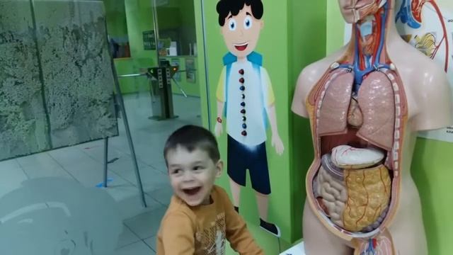 Что я нашел в музее интересной науки. Интересный эксперимент для детей смотреть онлайн