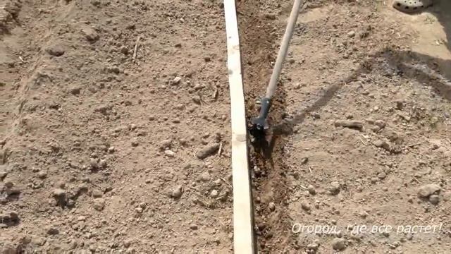 184. Посадка картошки и обработка от фитофторы. смотреть онлайн