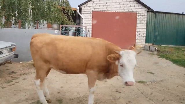 ДОРОГА домой на МАШИНЕ с ДЕТЬМИ | 3 ночи в пути смотреть онлайн