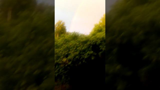 двайная радуга 🌈🌈 смотреть онлайн