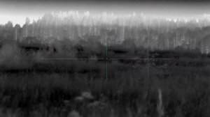 ОХОТА НА ЛОСЯ / ЛОСЬ НА РЕВУ