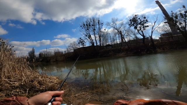 Рыбалка на спиннинг весной. Хороший клёв окуня и щуки на ультралайт. Best fishing #streetfishing смотреть онлайн