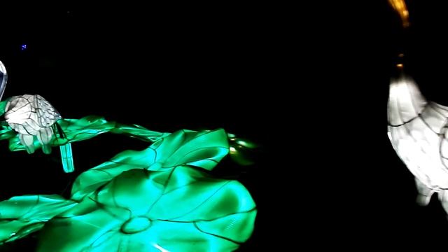 Одесса. Фестиваль китайских фонарей. Цапли./Odessa. Chinese Lantern Festival. Herons смотреть онлайн