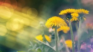 Проклятый или Благословенный Мир: какой выбираешь и создаёшь ТЫ?