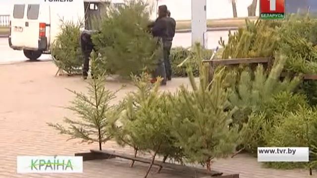 Галоўная елка Гомеля. КРАІНА смотреть онлайн