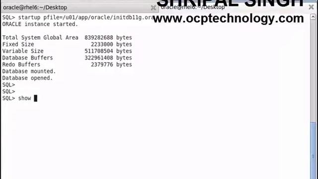 Create pfile using spfile and vice versa смотреть онлайн