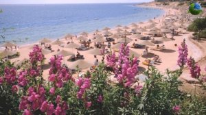 Domina Coral Bay Aquamarine Pool 5*