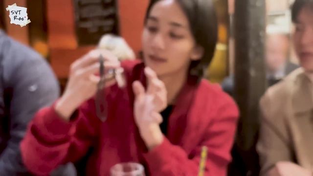 [SVT Record] Русская озвучка Seventeen Парижский видеоблог Джонхана | # 18