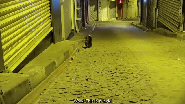 Ночные прогулки в Фатихе, Истанбул (Night Walks In Fatih, Istanbul)