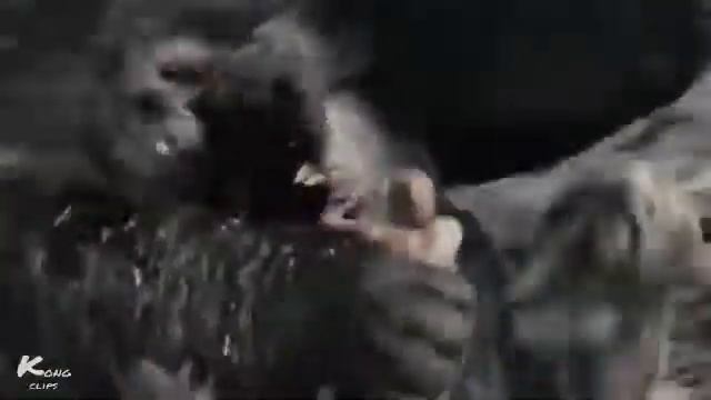 Анаконда смотреть онлайн