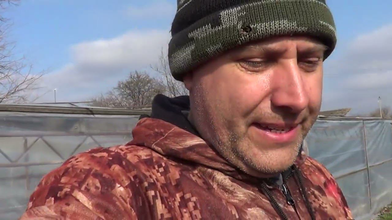 ЗА ДЕНЬ СКОЛЬКО ГОСТЕЙ ПОБЫВАЛО / К СОЖАЛЕНИЮ Я ЭТОГО НЕ УМЕЮ смотреть онлайн