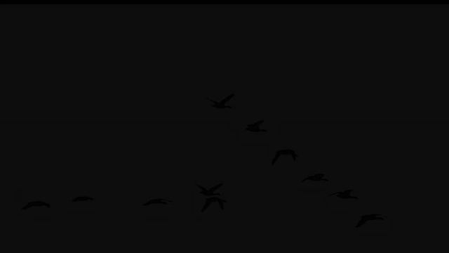 Айдаркуль - Арнасайские озёра пустыни КизылКум в Узбекистане смотреть онлайн