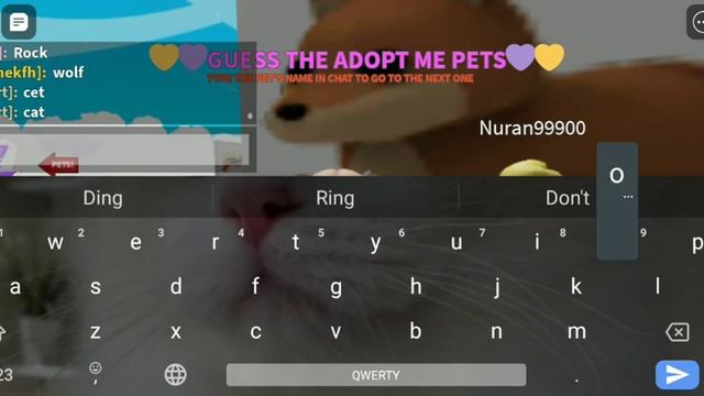 Играю в угадай пета в Адопт Ми ❤️ смотреть онлайн