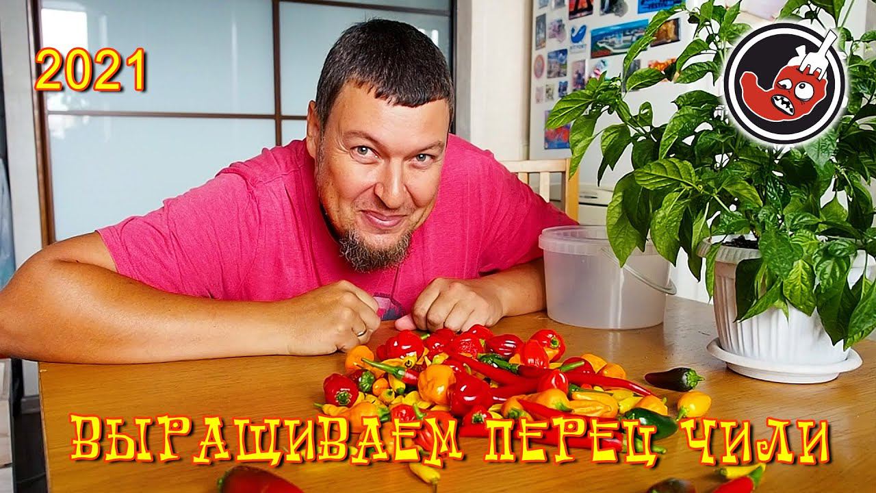 Готовим с Перцем!