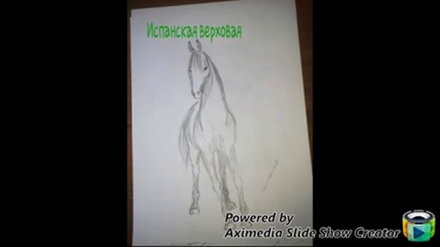Мои рисунки лошадей♥♡.часть 1. смотреть онлайн
