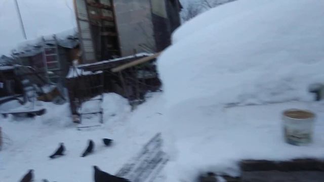 продолжаем вечером смотреть онлайн