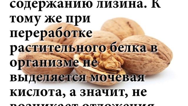 12 фактов об грецких орехах, которые Вы не знали смотреть онлайн