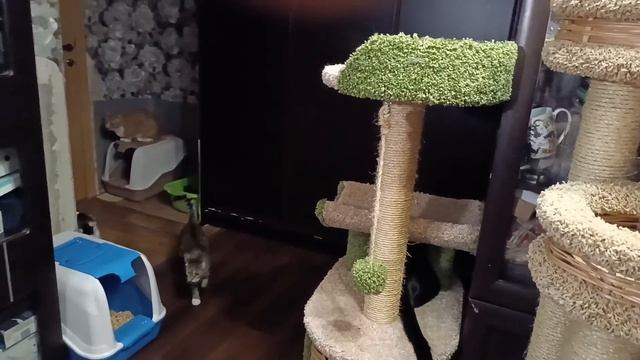 Гошка триножка. Год в нашей семье. смотреть онлайн