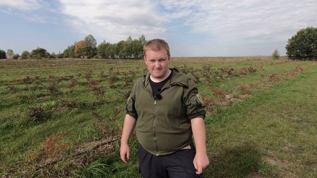 Подготовка к посадке голубики // Голубика для начинающих. Часть 8 смотреть онлайн