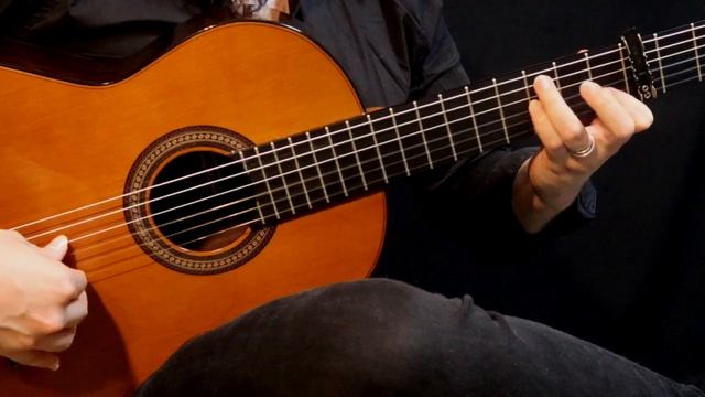 Luciano - OLÉ - PACO DE LUCÍA (Cover)