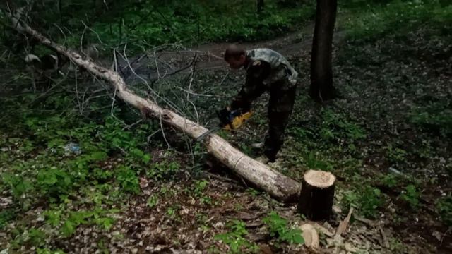 ПРИРОДА!!! И ДОМАШНИЕ ЧЕБУРЕКИ!!! смотреть онлайн
