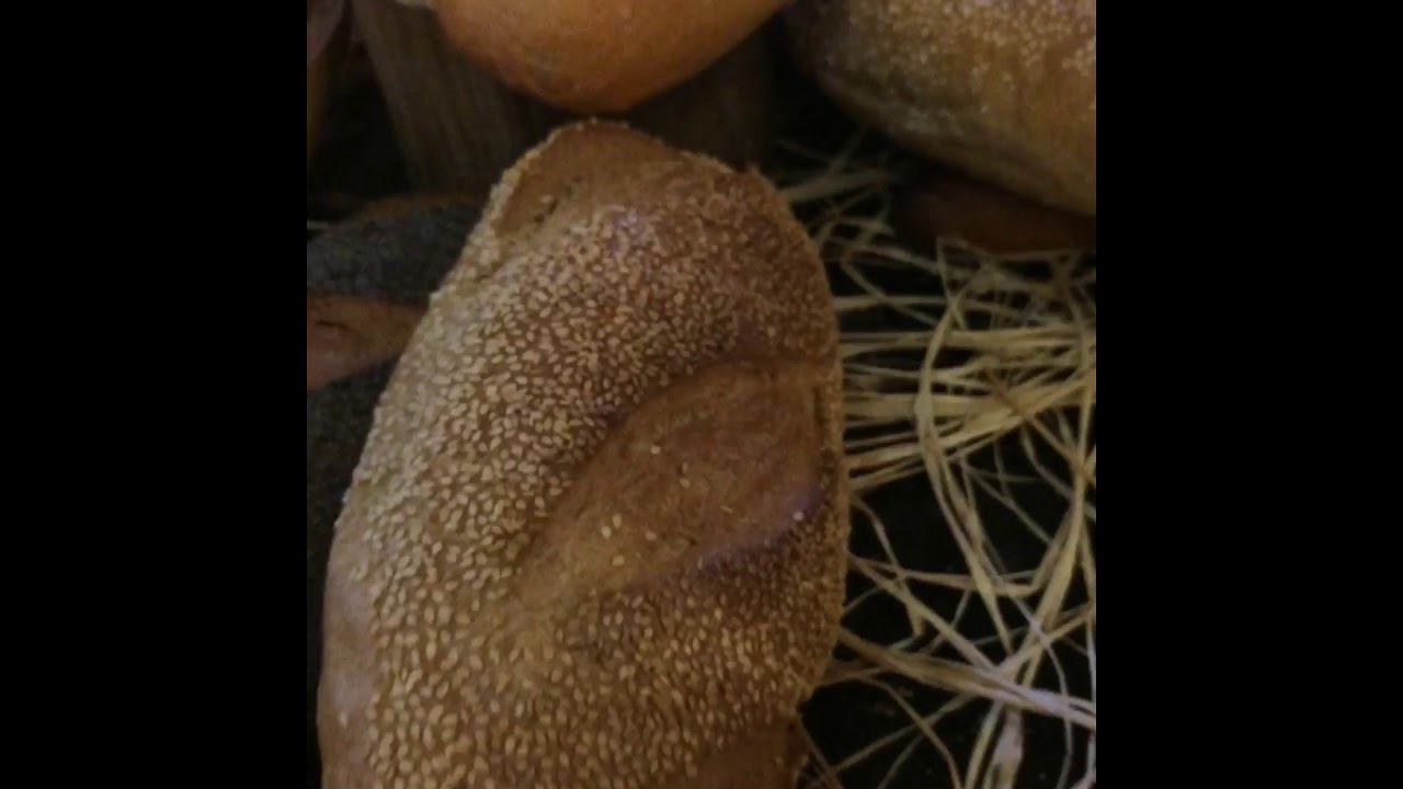 Видео нарезки с отдыха в Турции//Сентябрь—октябрь//Отель Avantgarde Hotel Luxury Resort 5* Kemer смотреть онлайн