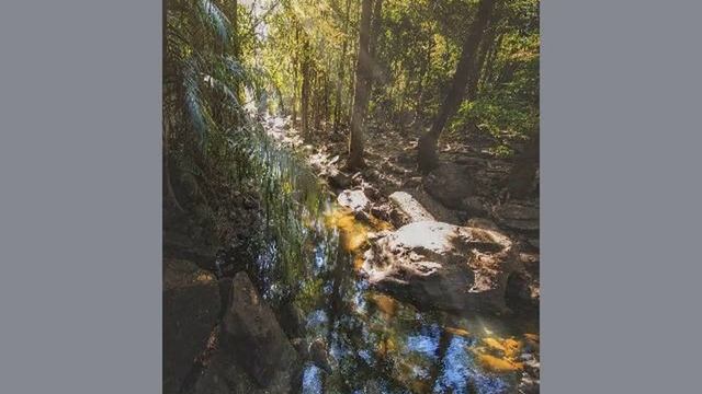 Отель каса де гоа отзывы смотреть онлайн