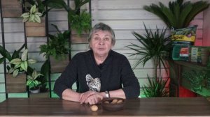 Как вырастить орех ✔️ Грецкий Орех в Саду ✔️ Как посадить грецкий орех