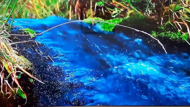 Хакасия природа. Водопады. Речки. Релакс. смотреть онлайн